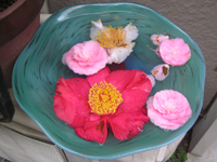 �����΂�