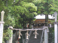 �����_��