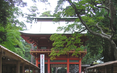 �����_�{