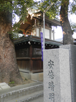 ���{�����_��