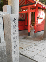 ���{�����_��