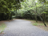 �X��o�q�_�� ���{