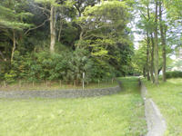 �f�v�R�Õ�