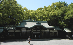 ��m�䖃�_��