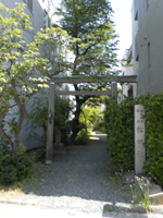 �M�c�_�{ ��姤��