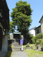 �M�c�_�{ ��姤��