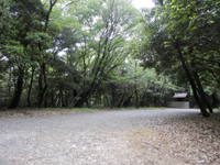 �X��o�q�_�� ���{