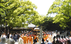 �M�c�_�{ �_�`�n��