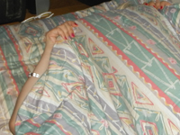 �ł���߃x�b�h