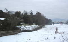 ���_�V�c��