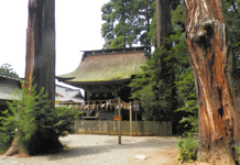 �����_�{