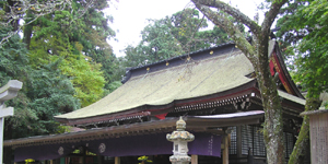 �����_�{