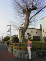 �{���n�p����