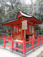 �����_�� ��{�_��