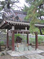 ���{��_��