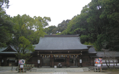 �l����_��