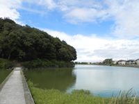 �����V�c��