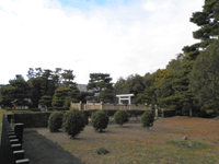 �����V�c��