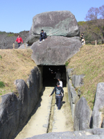 �h��n�q�̕�