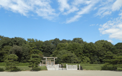 �_���V�c��