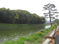 �p�̓V�c��