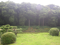 �p�̓V�c��