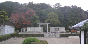 �m���V�c��