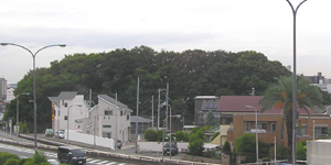 �m���V�c��