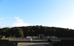 ���_�V�c��