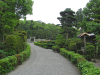 ���_�V�c��