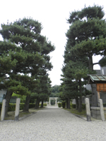 �����V�c��