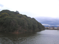 ���{������