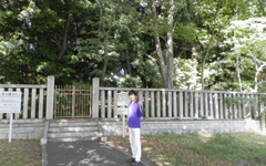 ���{������