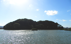 ���m�V�c��