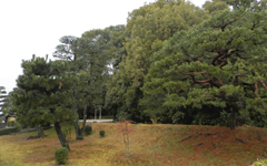 �p���t�Y�q�c�q�̕�