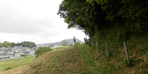 �V���V�c�ˁE�����V�c��