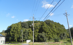 �`�F���̕�