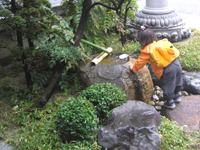 ���Z ���Z��