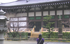 ���Z ���Z��