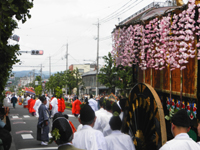 ���� ����