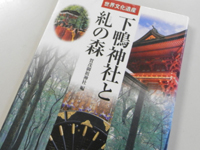 �����_�Ђ����̐X