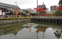 �l�V���� �����