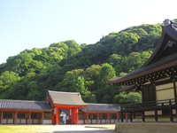 �ΐ��������{