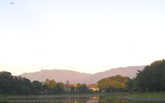 �����_�{