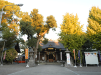 �������_��