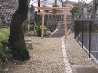 �����_��