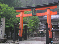 �O�����_�� ����