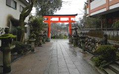 �F���_��