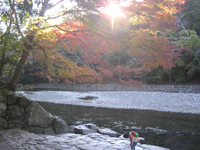 �ɐ� �܏\���