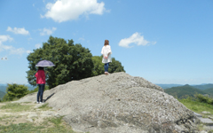 ���q�� �h���R